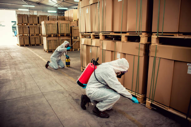 Best Pest Control Near Me  in West End Cobb Town, AL