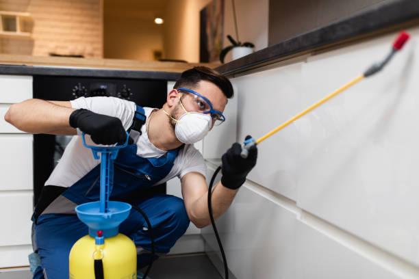 Best Best Pest Control Companies  in West End Cobb Town, AL