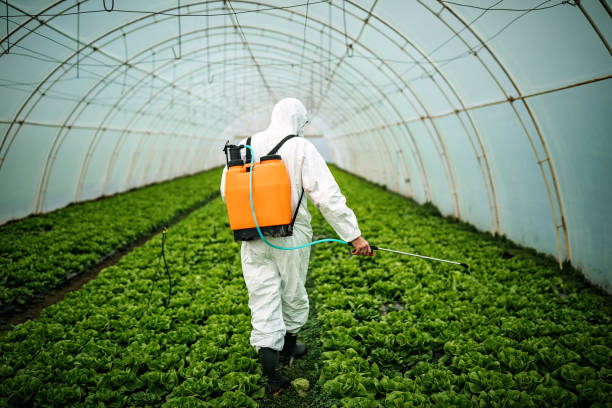 Professional Pest Control in West End Cobb Town, AL