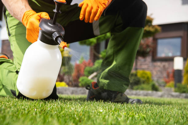 Best Bed Bug Extermination  in West End Cobb Town, AL