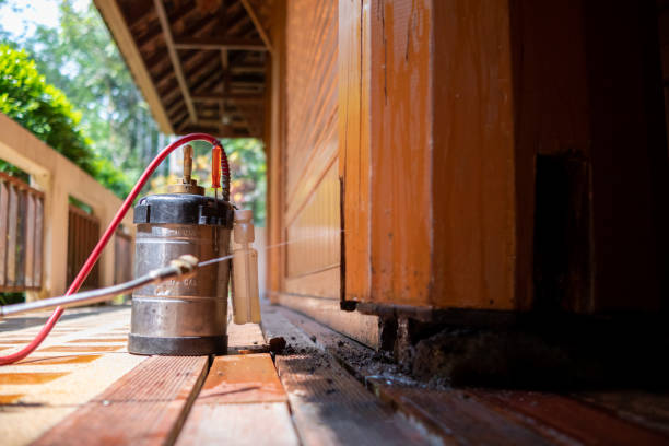 Best Pest Prevention Services  in West End Cobb Town, AL