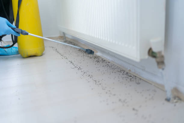  West End Cobb Town, AL Pest Control Pros
